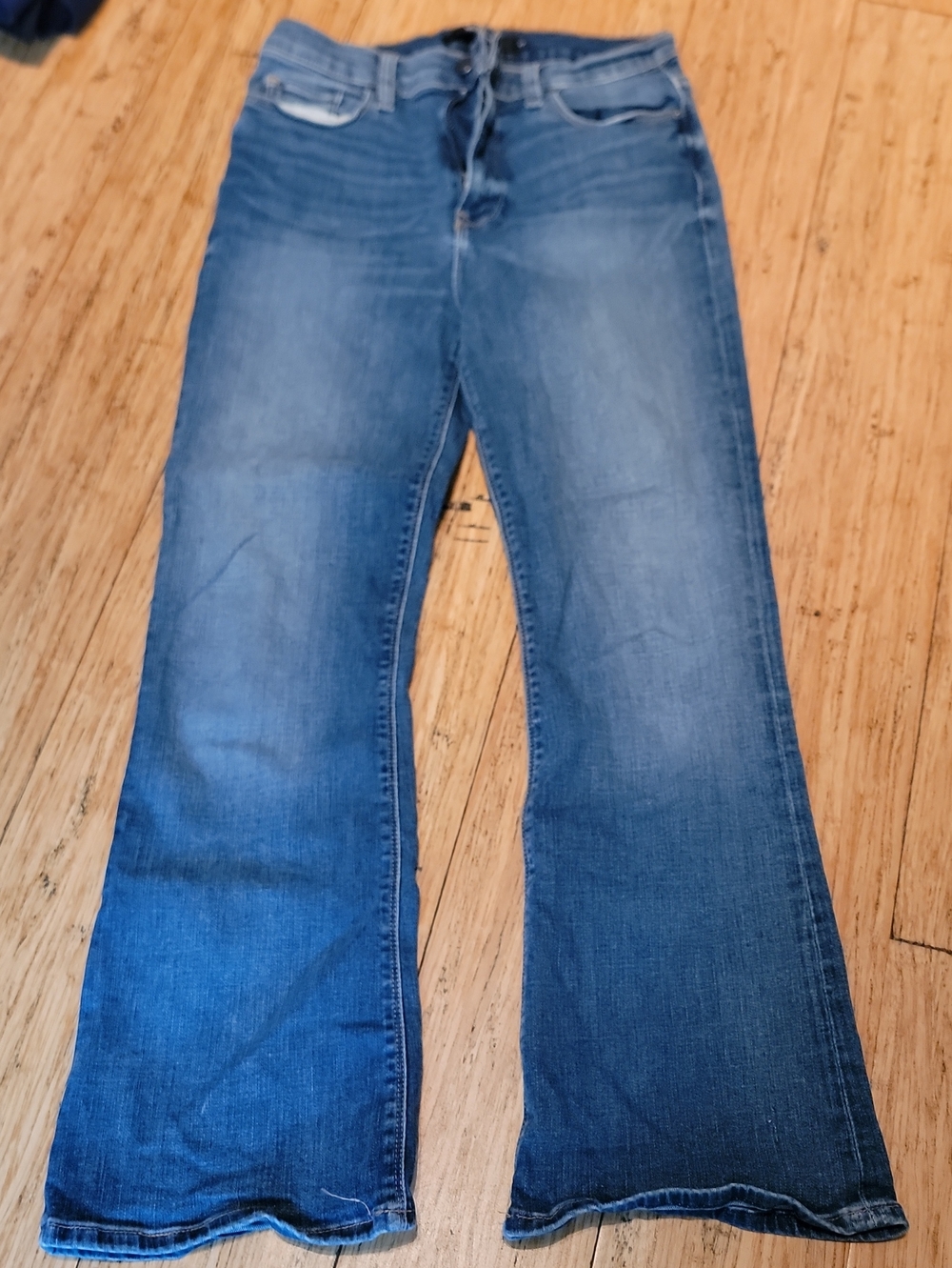 Hudson Jeans Women's Flared Denim in Medium Blue Wash
